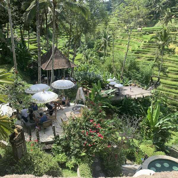 Tegalalang rice terrace restaurant Ubud Bali